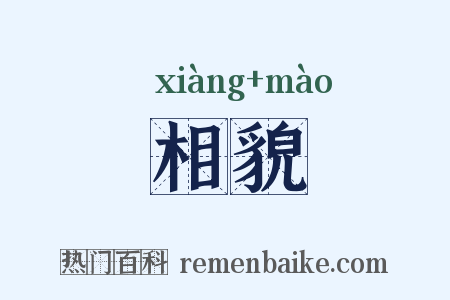 相貌是什么意思的图片